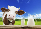В Минсельхозе обсудили развитие рынка молочной продукции В Минсельхозе обсудили развитие рынка молочной продукции
